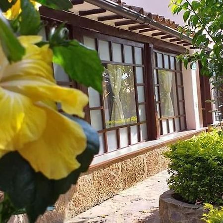 San Fernando De La Villa Вилья-де-Лейва Экстерьер фото